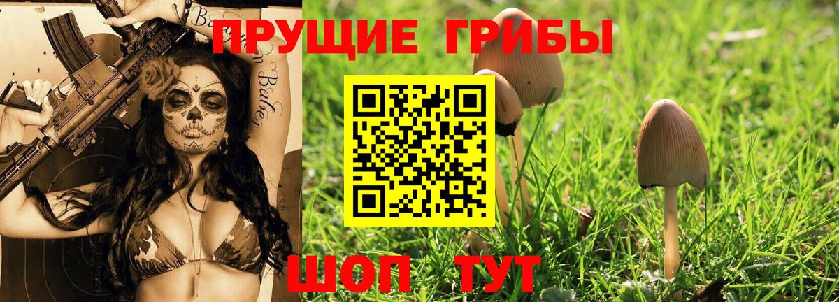 Новоуральск  Галлюциногенные грибы Magic Shrooms  Галлюциногенные грибы GOLDEN TEACHER  Вход с VPN 