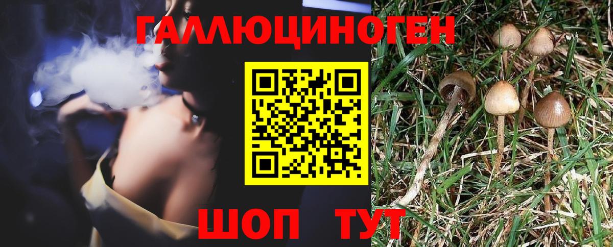 Галлюциногенные грибы мухоморы Новоуральск